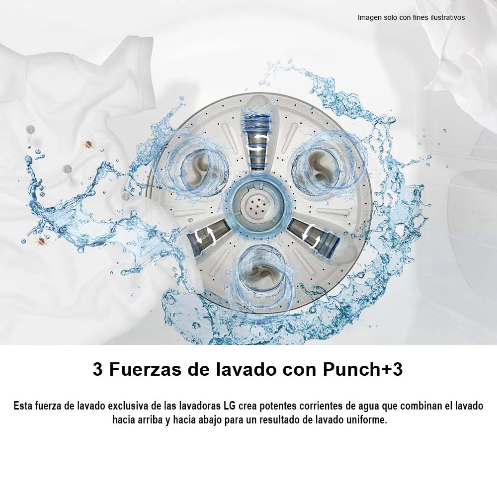 Imagen del producto 5